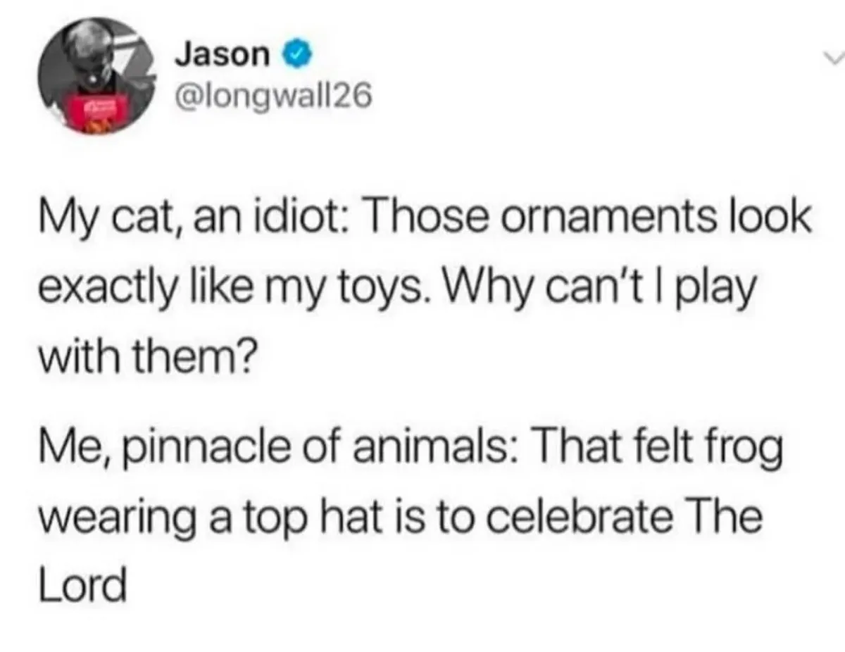 Your Cat Brain Can't Compete with My Superior Human Brain!
