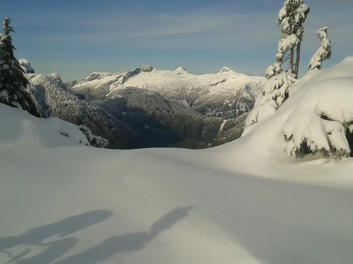 A snowy mountain landscape with snow-covered trees and distant peaks under a clear blue sky. The foreground shows the…