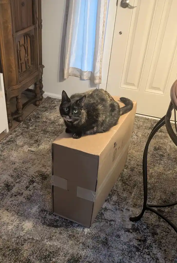 Smudge the Postmistress: A Furry Tale