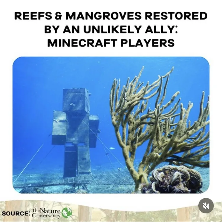 An underwater photo shows a large, blocky structure resembling a Minecraft character standing beside coral and mangroves…