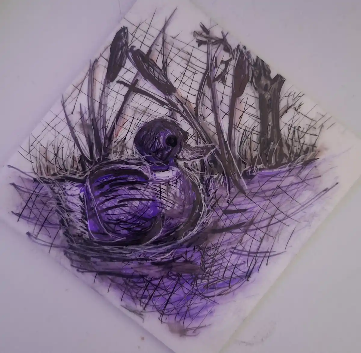 A sketch-style drawing shows a bird sitting in a nest made of twigs and grass, rendered in purple and black ink with a grid…