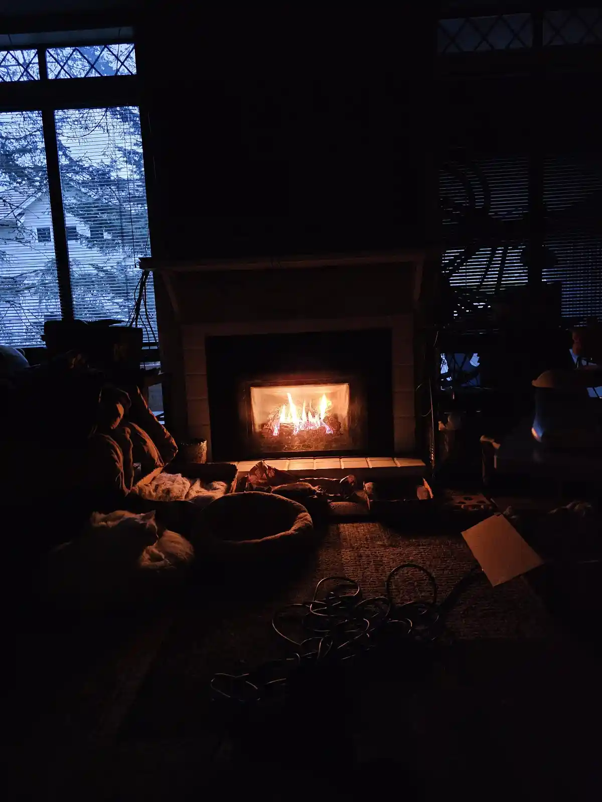 A dimly lit room centered on a glowing fireplace, with a white cat curled up on the floor nearby. The scene is cozy and…