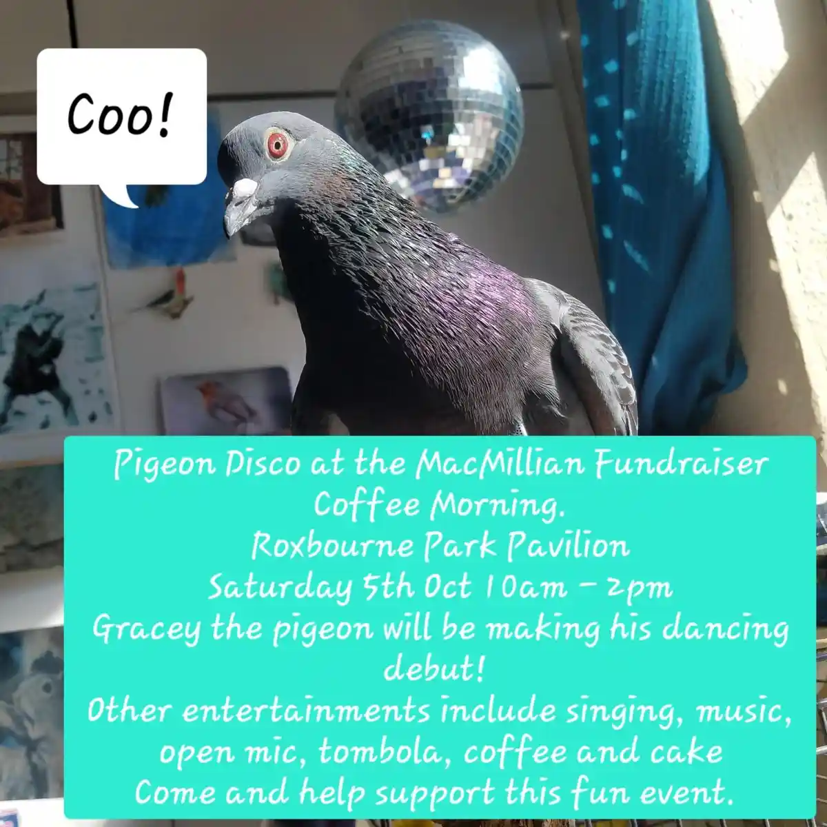 A close-up photo of a grey pigeon with iridescent purple feathers and a red eye, standing indoors. A white speech bubble…