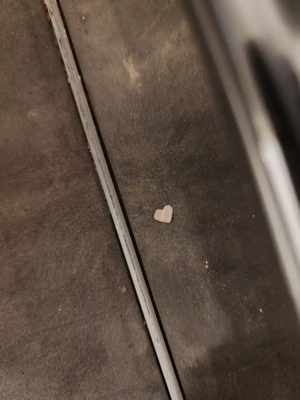 A close-up photo shows a small, light-brown, heart-shaped fragment of debris resting on a dark, textured surface, possibly a…