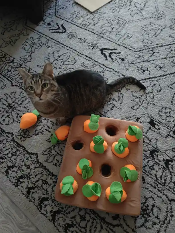 A tabby cat with green eyes sits on a patterned rug next to a brown plush toy shaped like a carrot patch with orange…