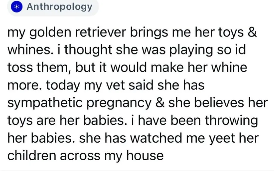 A screenshot of a Reddit post under the 'Anthropology' subreddit, featuring black text on a white background. The text…