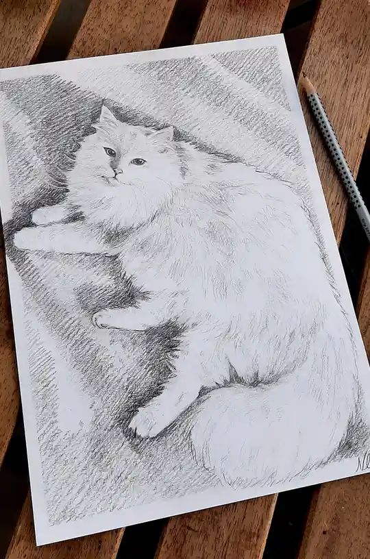 A detailed pencil sketch of a fluffy white cat sitting on a wooden surface, with a pencil resting beside the paper. The cat…
