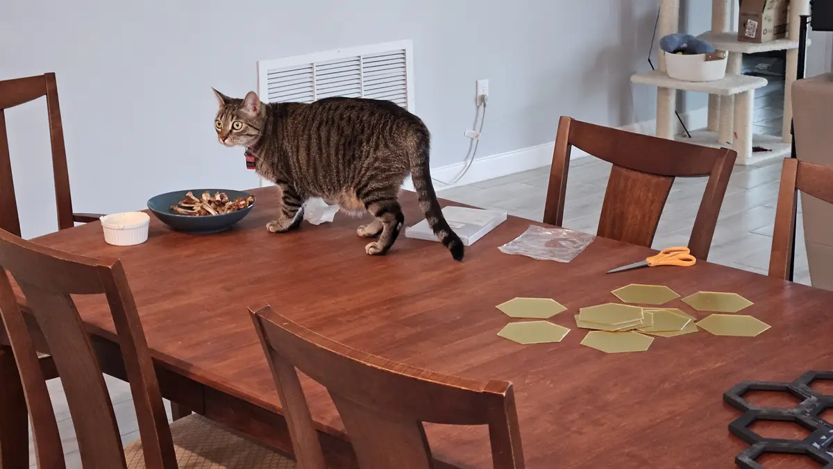 A tabby cat stands on a wooden dining table, looking intently at a bowl of food. The table also holds scattered yellow…