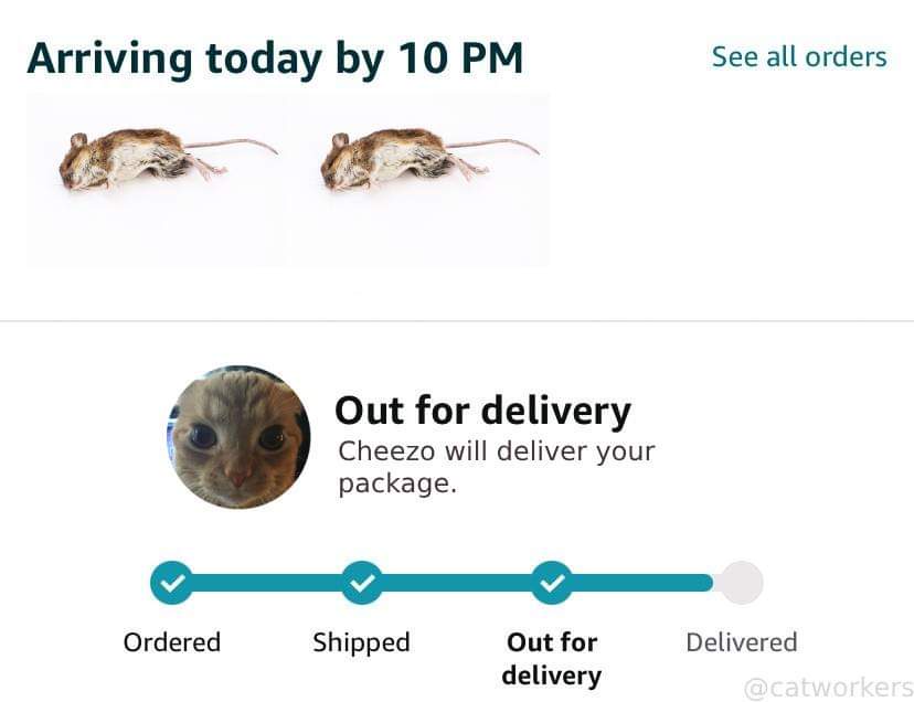 An image mimicking a delivery tracking page shows two dead mice as the 'arriving' package, with a cat's face as the delivery…