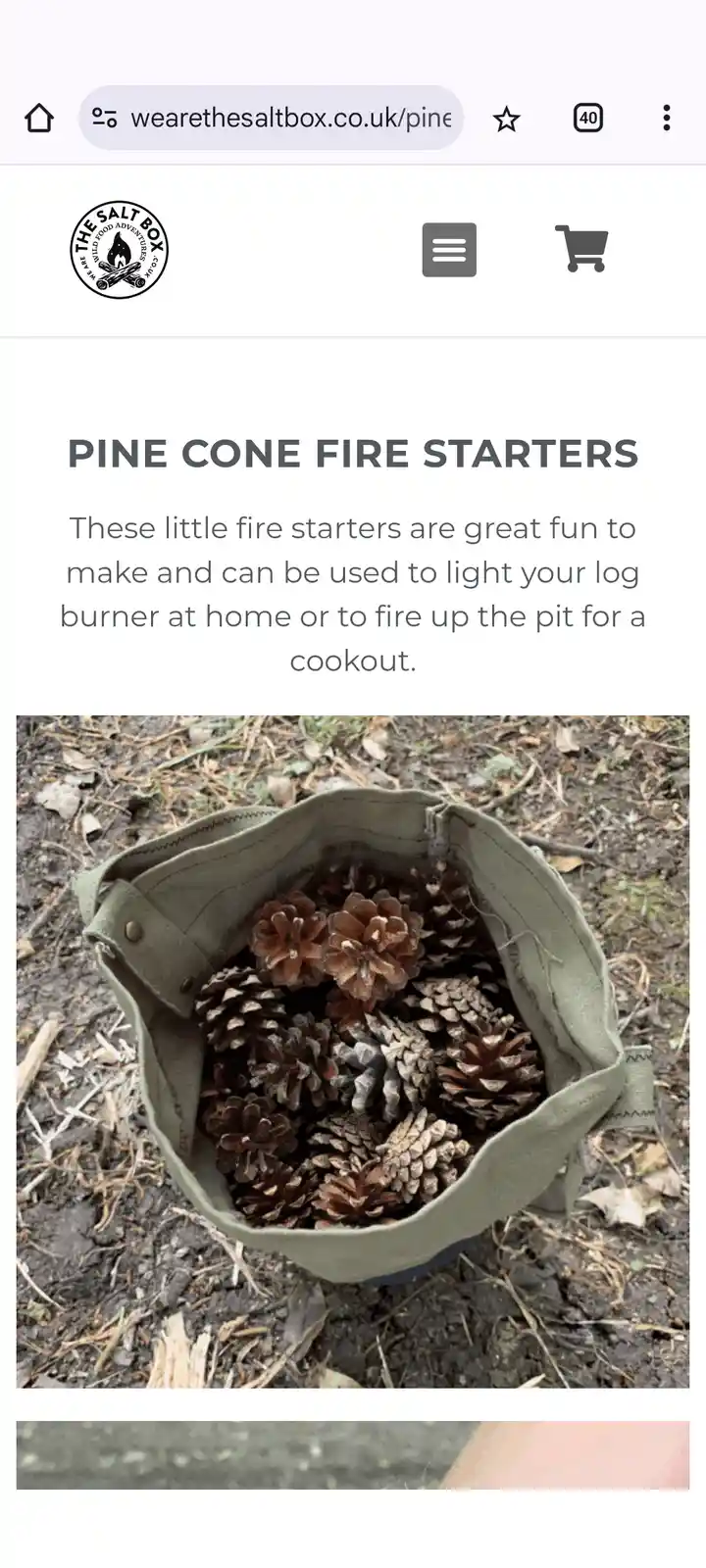A screenshot of a website page showing a green canvas bag filled with pine cones, labeled as 'PINE CONE FIRE STARTERS'. The…
