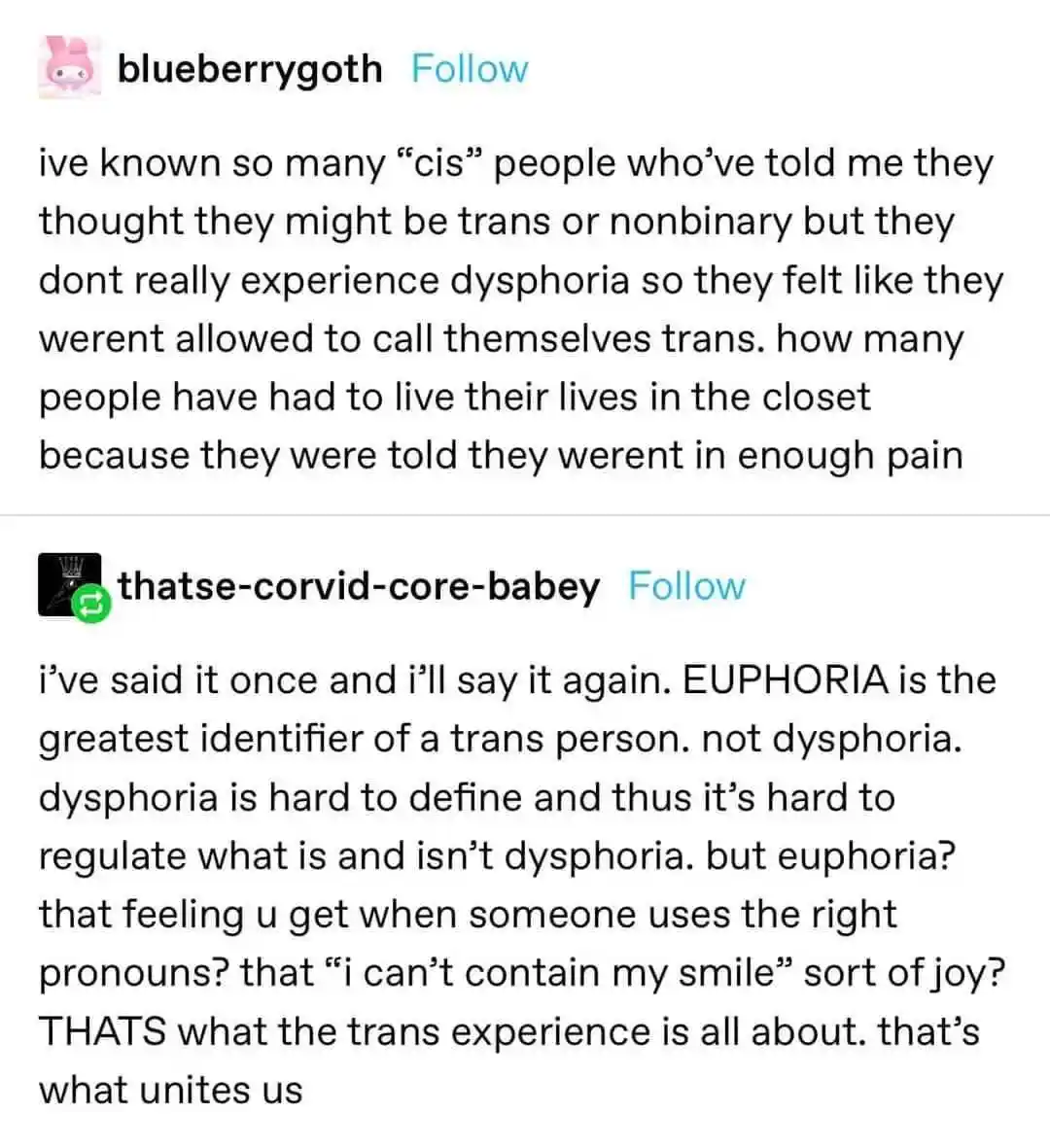The Joy of Gender Euphoria