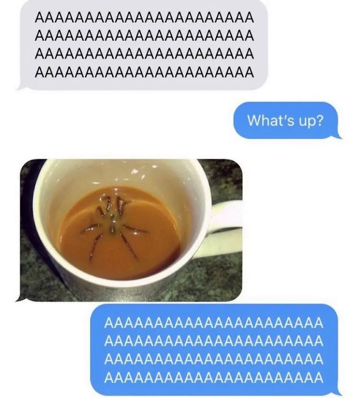 A screenshot of a text conversation shows a message 'What's up?' followed by a photo of a coffee cup with a spider floating…