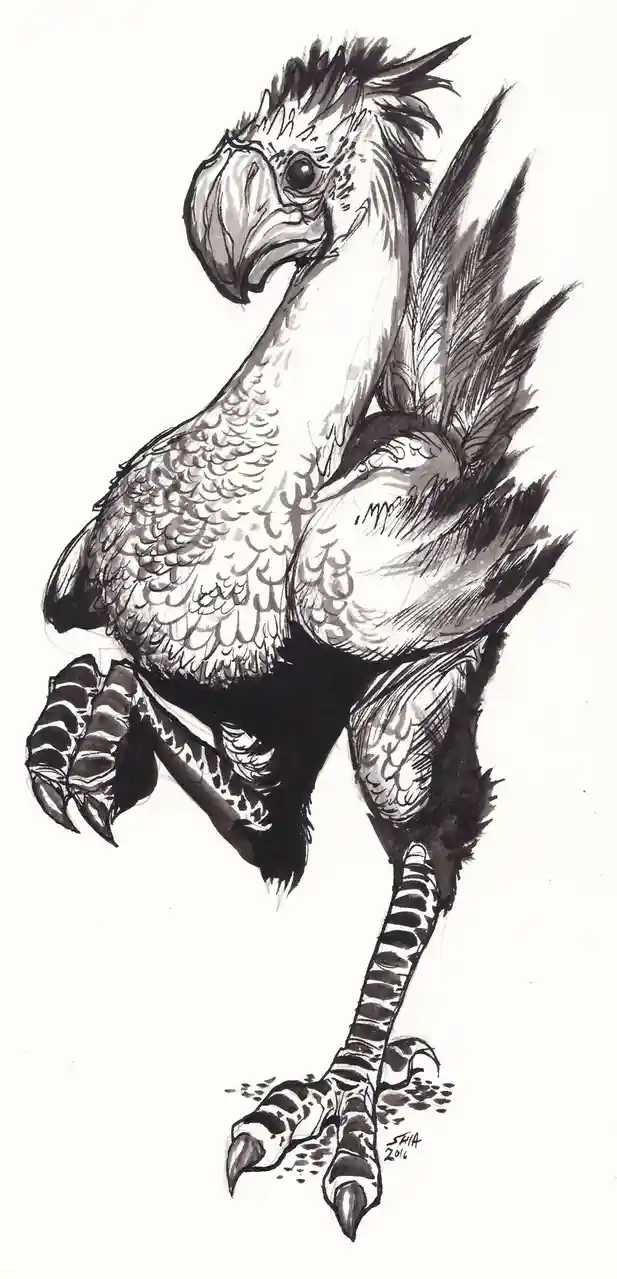 A black and white ink drawing of a large, feathered bird with a prominent crest, sharp beak, and striped legs, standing on…