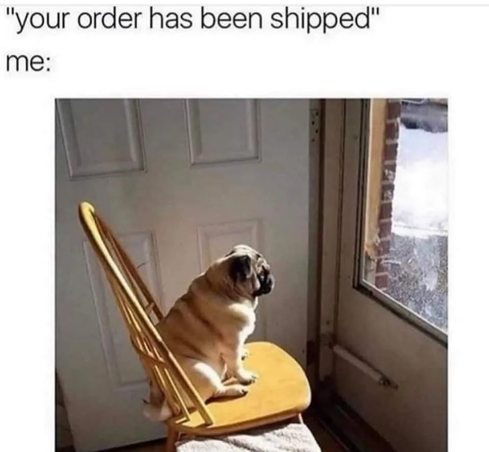 When the Online Store Promises the World