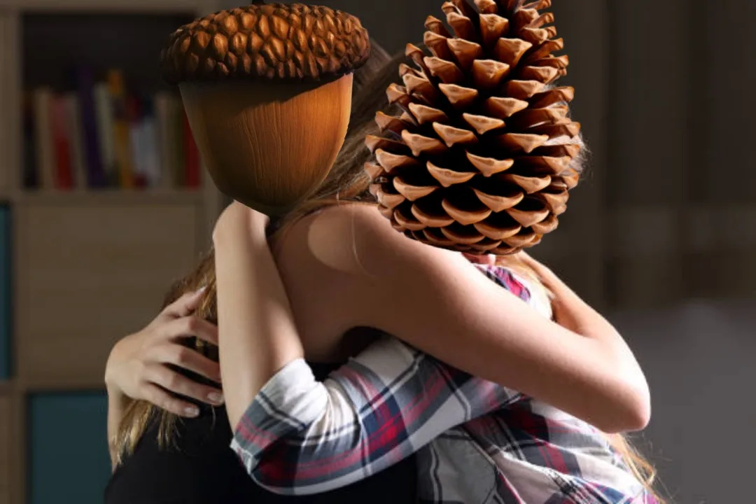 Two people are hugging, but their heads are replaced with a large acorn and a large pinecone. The person on the left has an…