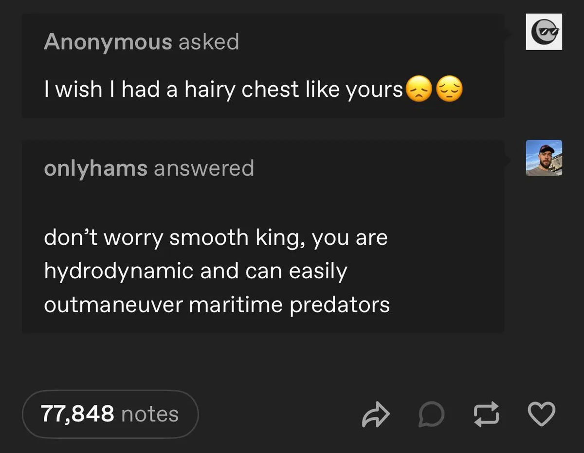 A screenshot of a Tumblr-style chat interface shows an anonymous user asking for a hairy chest, to which 'onlyhams' replies…