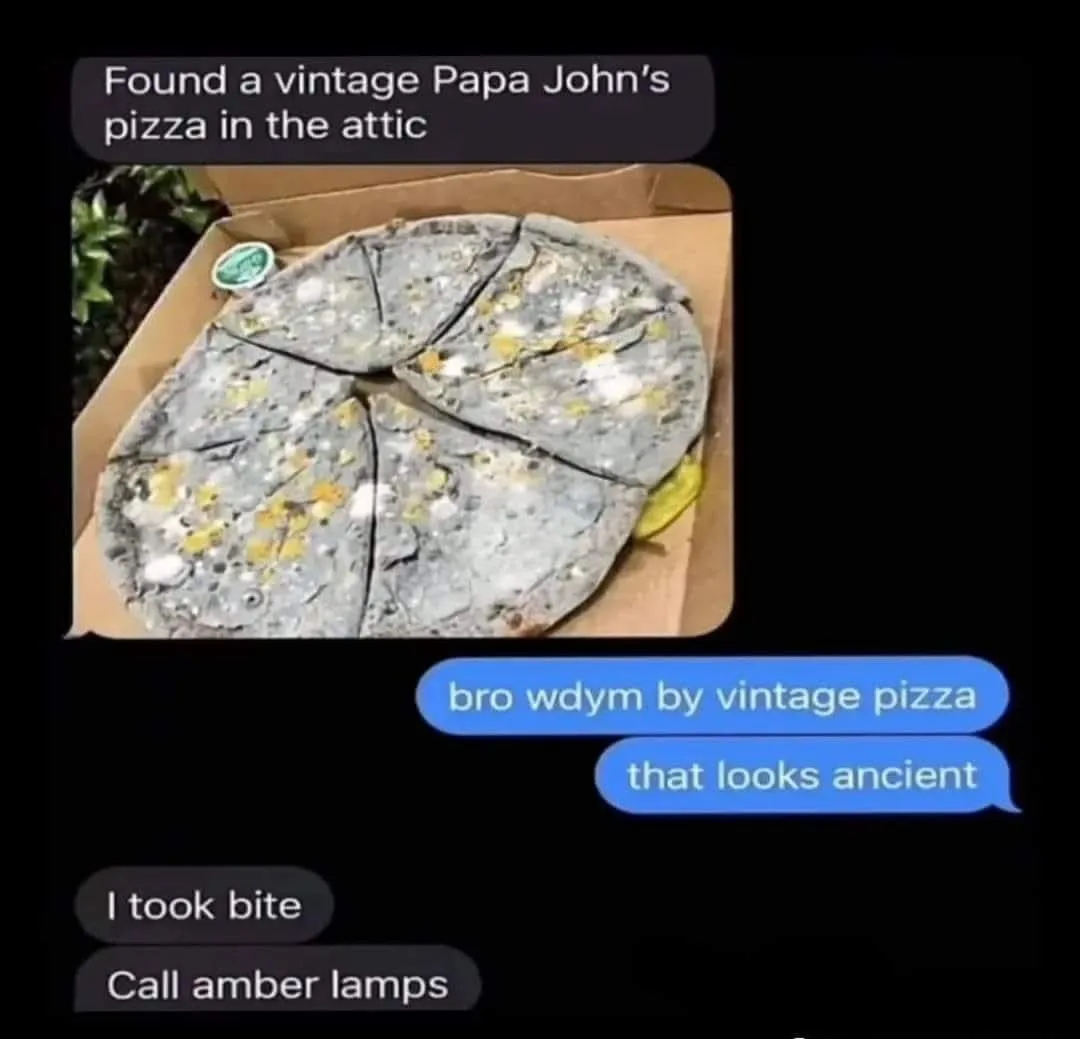 A screenshot of a text conversation shows a photo of a heavily moldy, greyish pizza in a Papa John's box. The first message…
