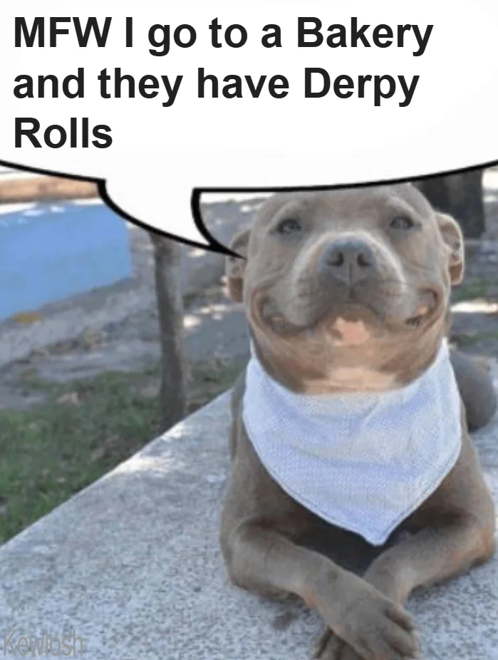 A light brown pit bull with a white bandana around its neck is lying on a concrete surface, looking upward with a slightly…