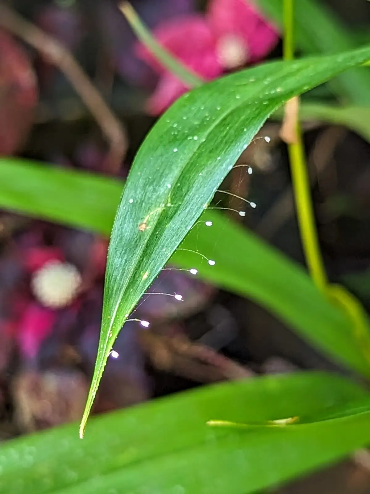 Garden Treasures Await