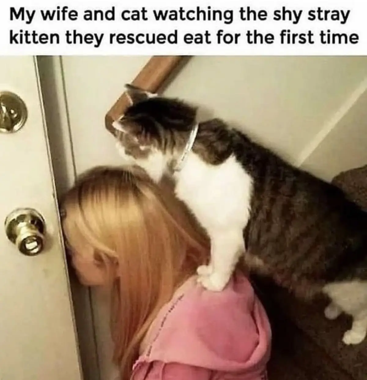 A woman with blonde hair in a pink hoodie is peeking through a doorway, while a tabby and white cat stands on her shoulder…
