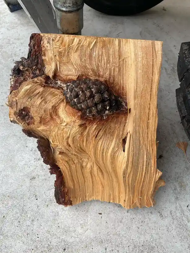 A freshly cut piece of light-brown wood with visible grain and bark, featuring a dark, textured pinecone embedded in its…
