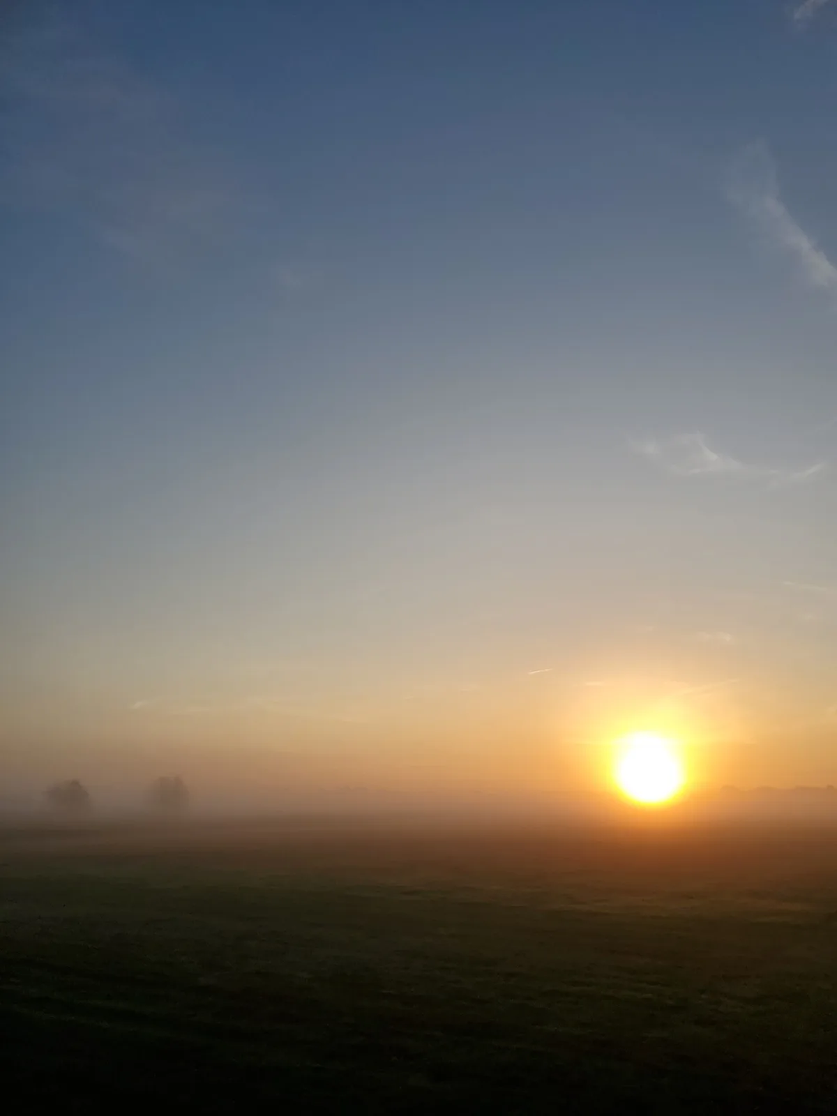 A serene sunrise over a foggy field with the sun low on the horizon, casting warm orange light through the mist. Silhouetted…