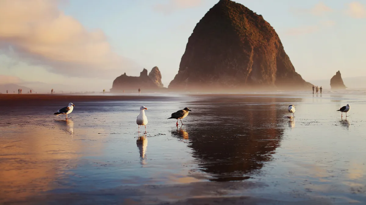 On Oregon's coast, low tide reveals soggy sands beneath Haystack Rock's 235-foot shadow. Beachcombers seek seashells, while…
