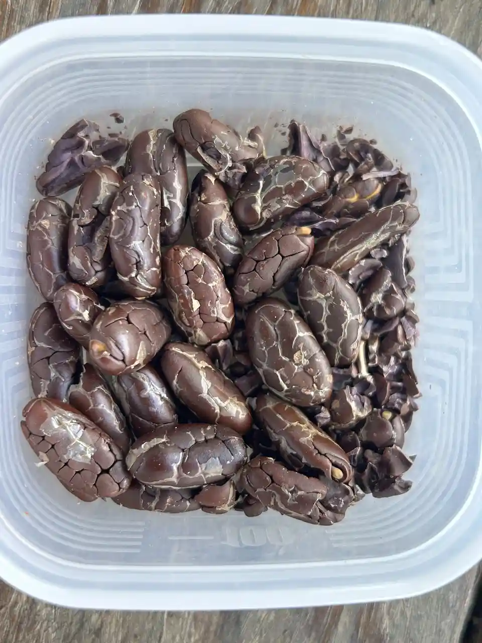 A top-down photo shows a clear plastic container filled with dark brown, cracked coffee beans that resemble shattered or…