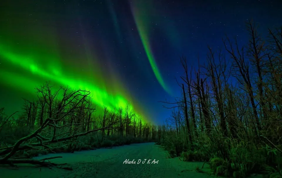 The Enigmatic Aurora: Nature’s Light Show