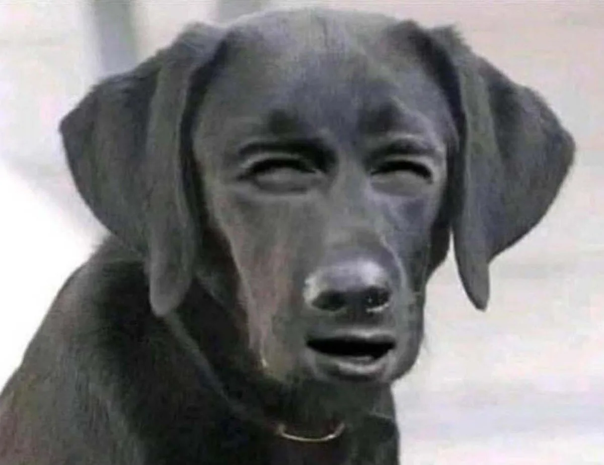 A close-up of a black dog with a human-like, tearful expression, eyes squinted and mouth slightly open, as if crying. The…