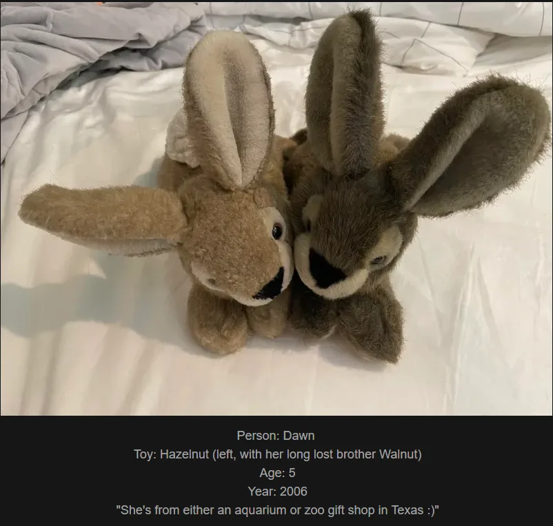 Two brown plush rabbits sit side-by-side on a white bedsheet, their heads touching. Text overlay identifies them as…