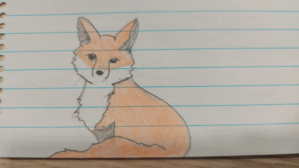 A child's crayon drawing of a fox on blue-lined notebook paper, with the text 'i'm not a fox, i'm a fox' overlaid. The fox…