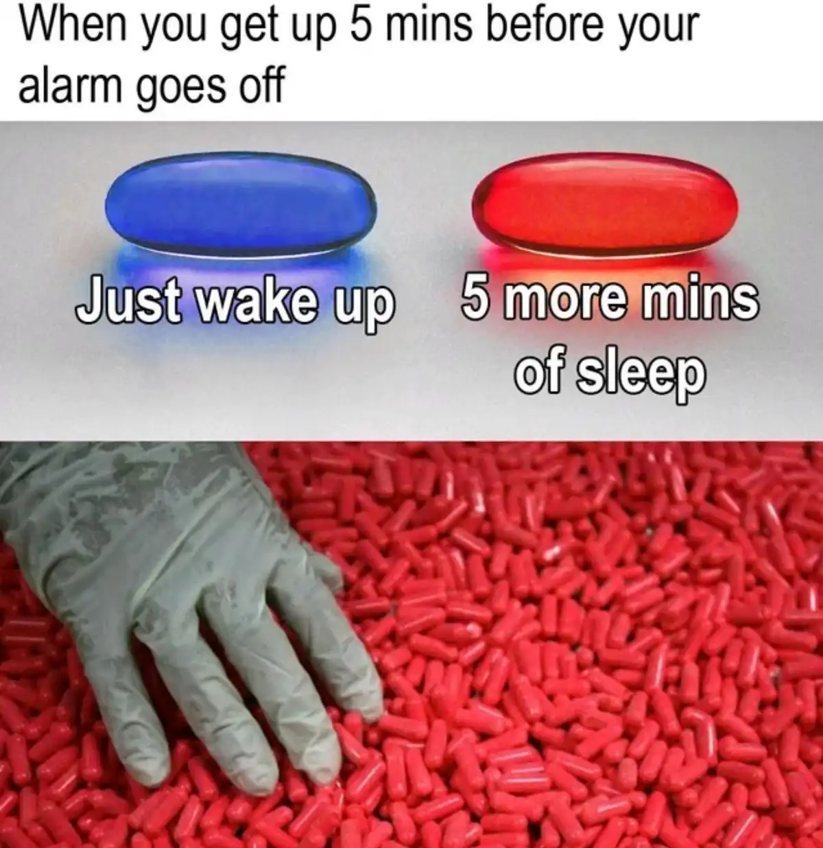 The Struggle is Real: Just Waking Up...