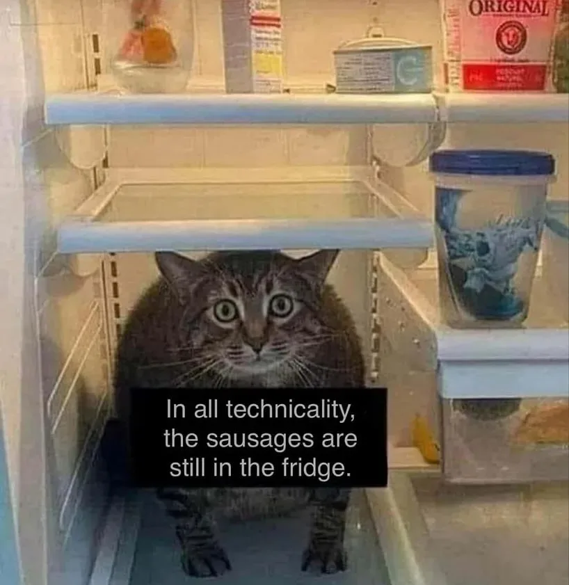 A tabby cat with wide, startled eyes is sitting inside an open refrigerator, partially obscured by a black text box. The…