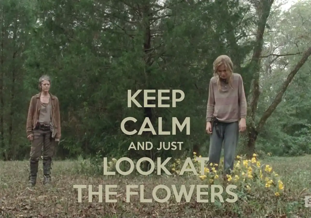 Two women stand in a wooded area; one looks toward the camera while the other looks down at yellow flowers. Large beige text…