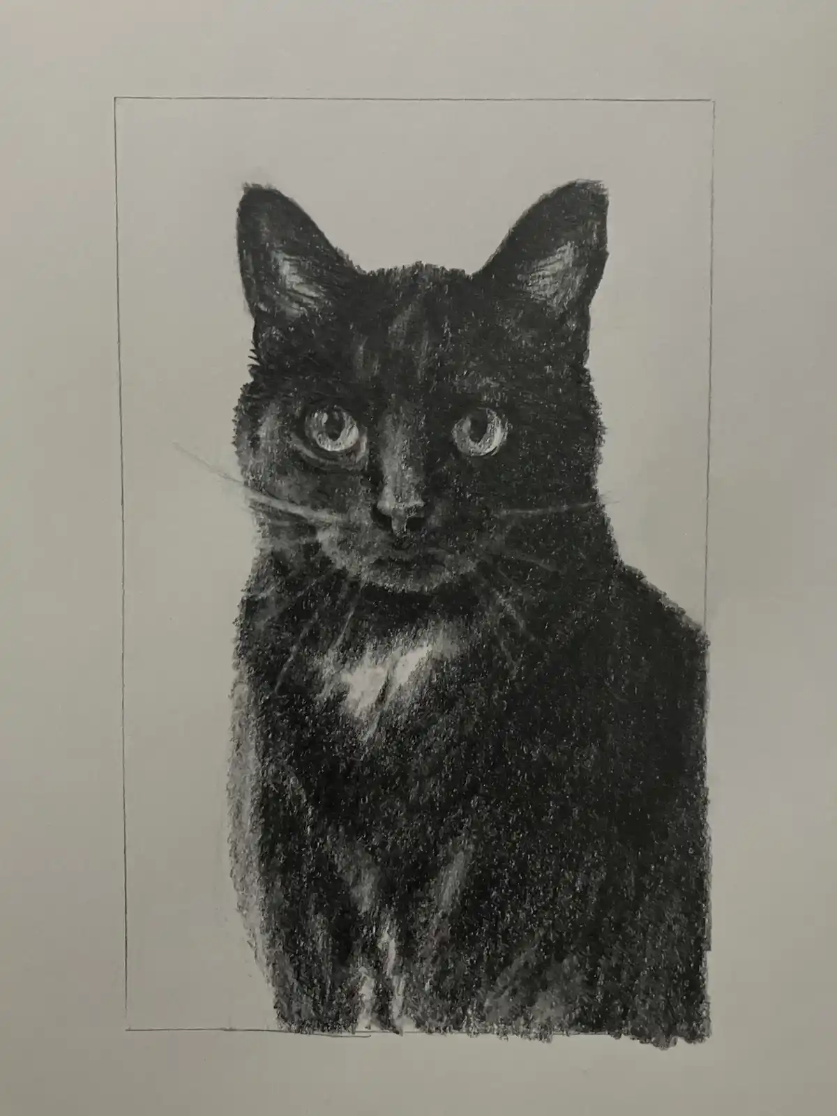 Another Adorable Pet Portrait to Brighten Your Day