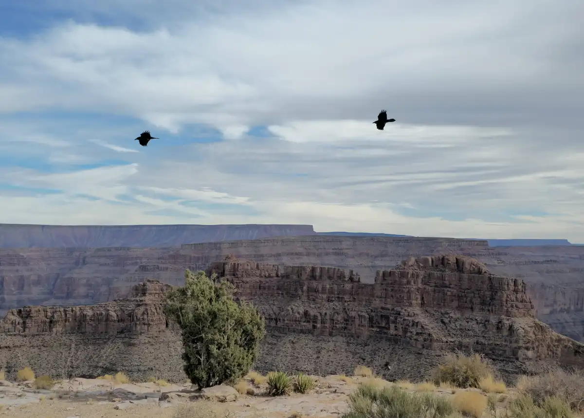 Exploring the Majestic Grand Canyon West in Arizona