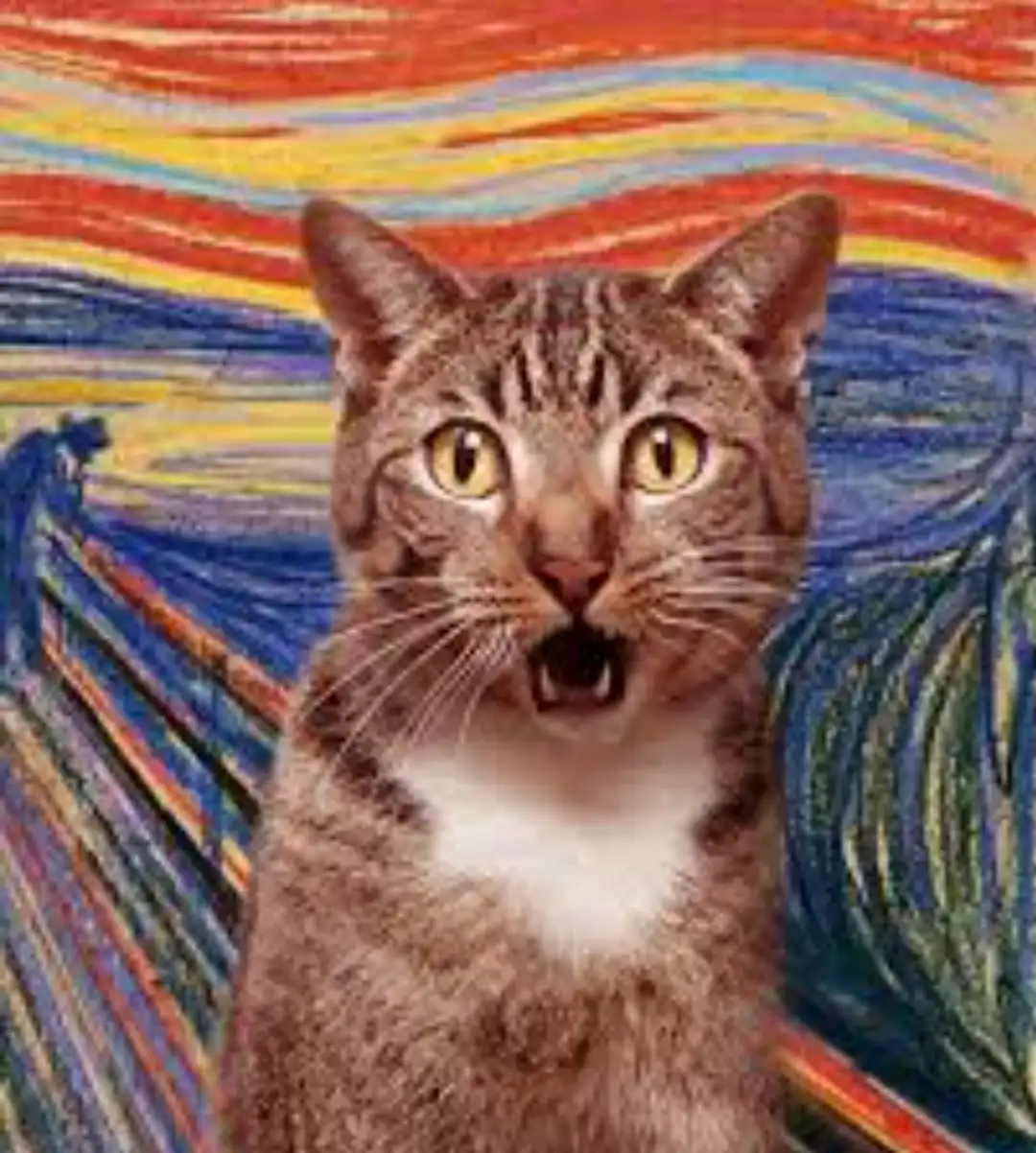 A tabby cat with wide, startled eyes and an open mouth is superimposed onto the background of Edvard Munch's 'The Scream,'…