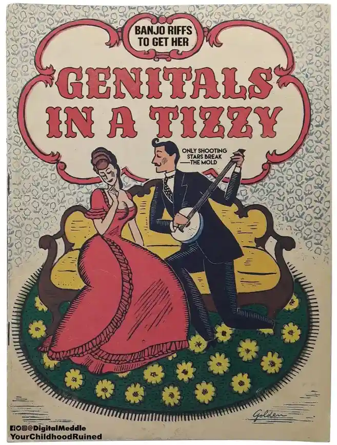 An old-fashioned, vintage-style illustrated book cover depicts a man in a suit playing a banjo while seated next to a woman…