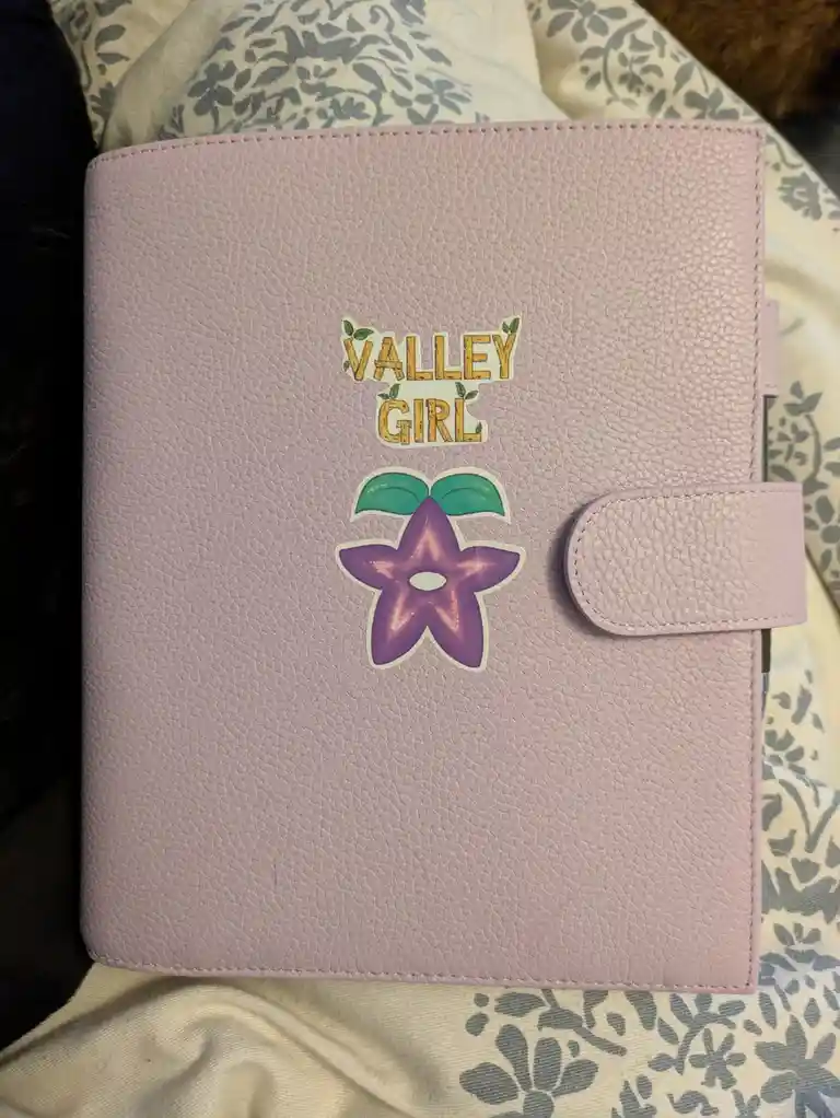 A light pink textured planner or journal with two stickers on its cover: one reads 'VALLEY GIRL' in yellow text with green…