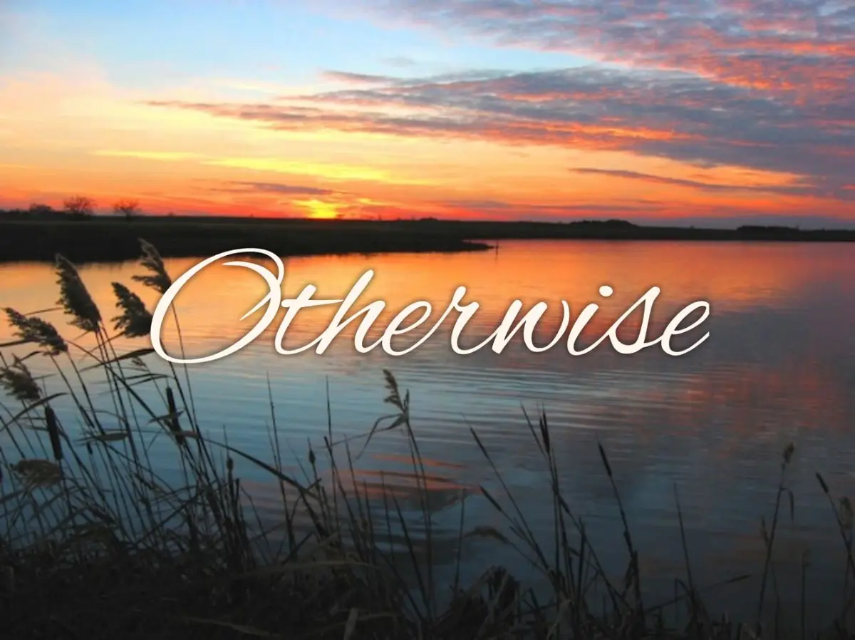 A serene sunset over a calm body of water with reeds in the foreground, overlaid with the word 'Otherwise' in a white…