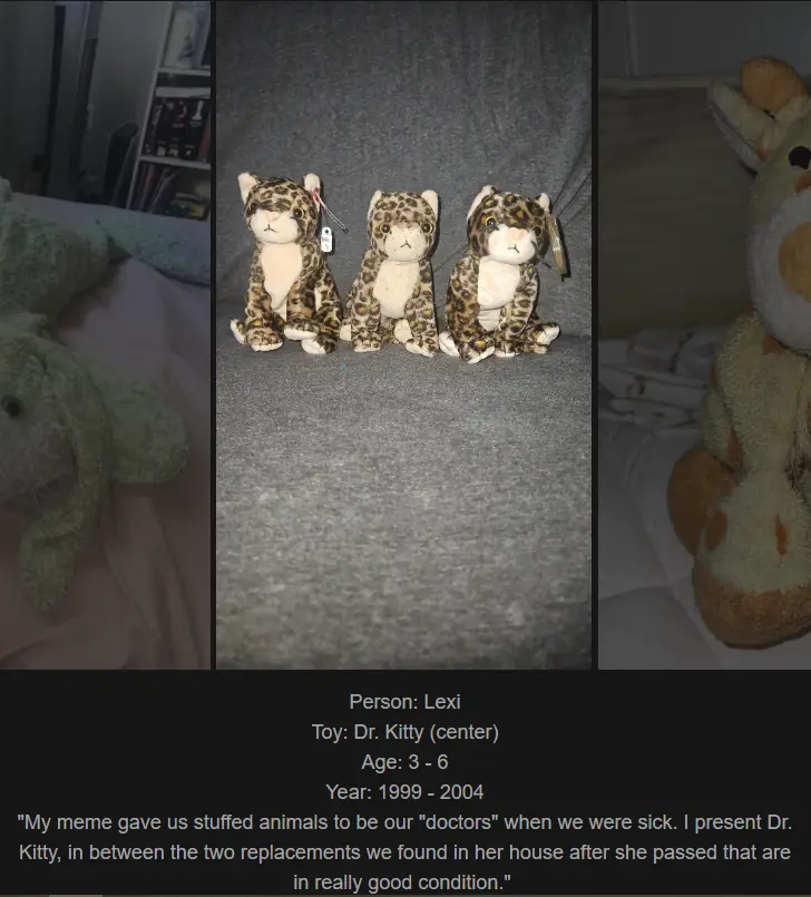 Three identical leopard-print stuffed animals sit side-by-side on a gray fabric surface. The center one is labeled 'Dr…