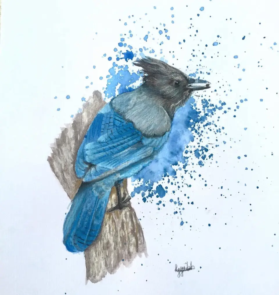 A watercolor painting of a blue jay perched on a tree branch, with blue paint splatters radiating outward from its body…