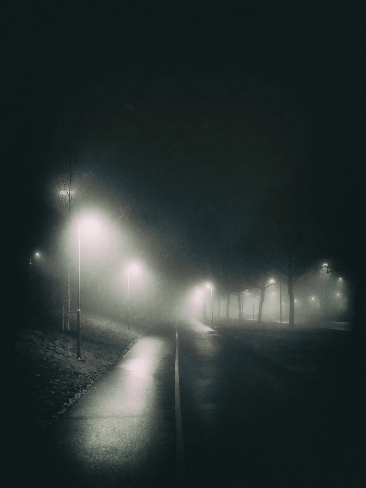 A dark, foggy night scene showing a wet paved path lined with streetlights, their beams cutting through the mist. The path…