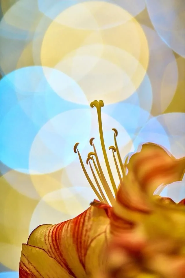 A close-up photo of a flower's reproductive parts, specifically its stamens, against a blurred background of blue and yellow…