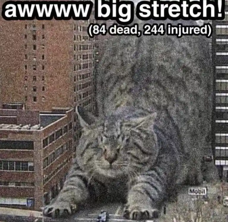 Catzilla's Epic Battle Against Snowballs
