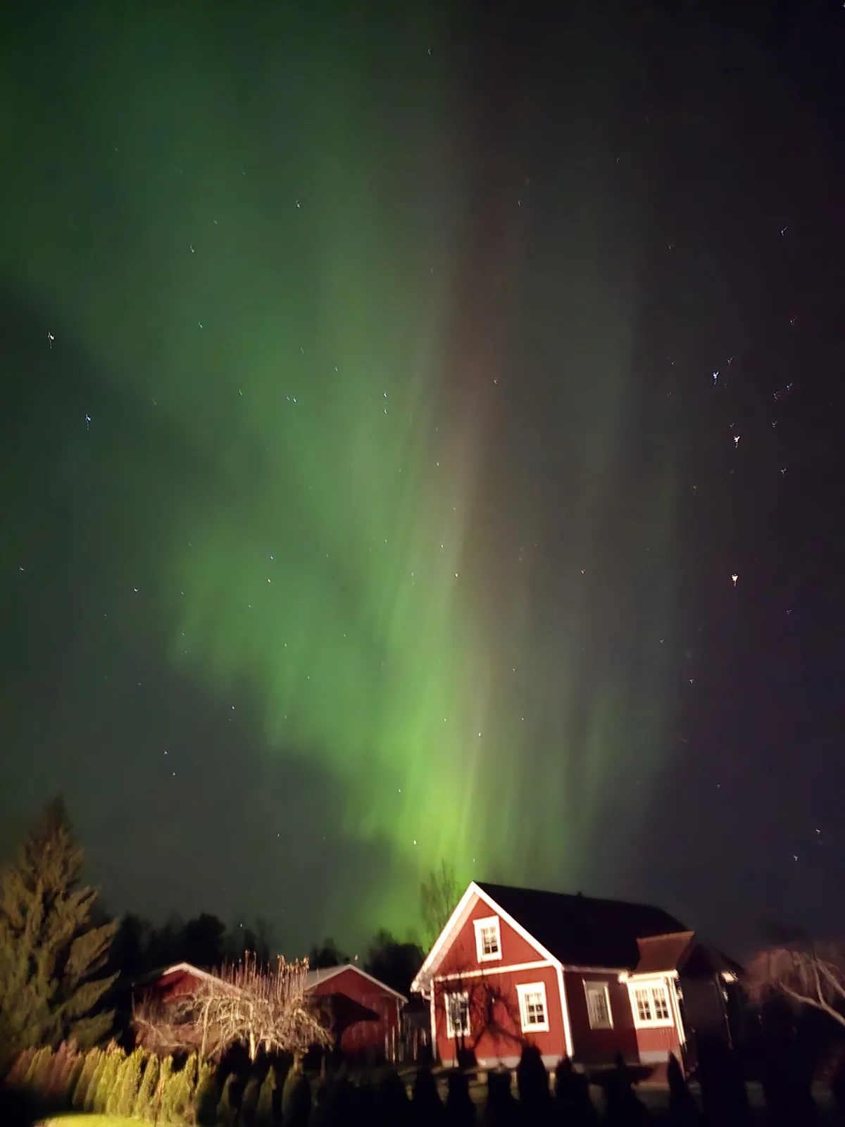 A nighttime photograph shows a vibrant green aurora borealis dancing across a starry sky above a red house with white trim…