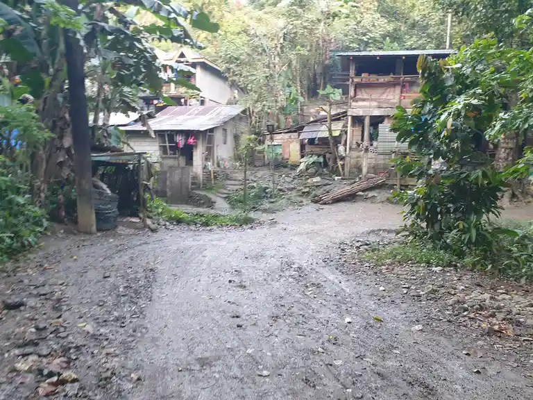 A muddy, unpaved path winds through a rural village with simple, weathered houses surrounded by dense green foliage. The…