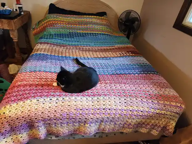 A black cat with a white chest is curled up on a colorful, multi-striped crocheted blanket covering a bed. The blanket…