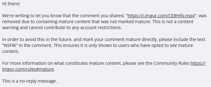 A screenshot of an Imgur auto-generated message explaining that a user's shared video link was removed for containing…
